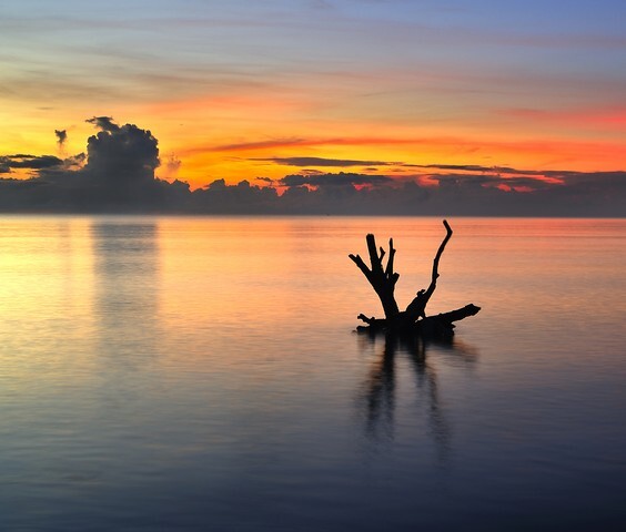 Beautiful seascape during sunrise
